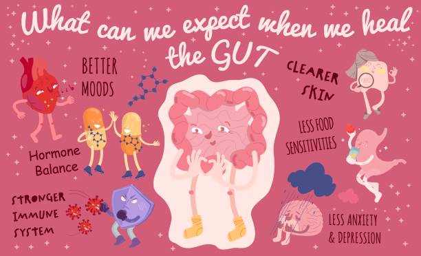 What Is the Gut-Brain Connection and Why It Matters
